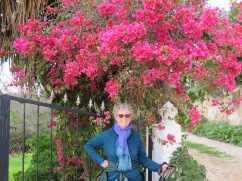 I loved the contrast between the colour of the bougainvilla and Patricia;s sweater.
