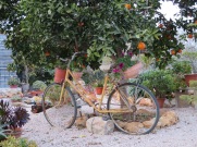 I thought this bike used as a flower pot display, casually leaning against the tree, was quite lovely.