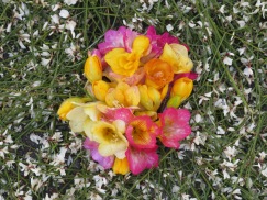 Gorgeous freesia used to create the centre of one of the designs. Heavenly scent.