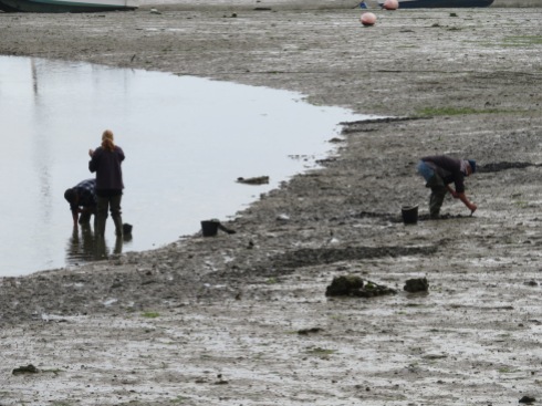 We parked the car and as soon as we got out we noticed these folks digging for clams as the tide was low.