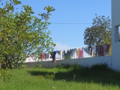 I love that they used the fence for a clothesline......why not?
