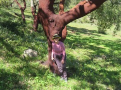 Patricia and the cork tree.....doesn't that sound like a great title for children's book?
