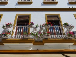 Many balconies were laden with plants and only one batch of them appeared to be plastic.