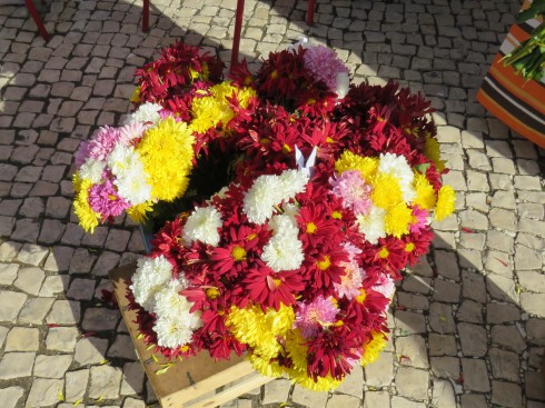 Flowers were on display and for sale all throughout the market today.