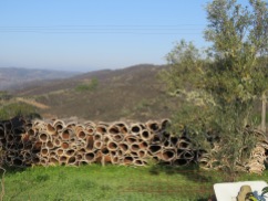 Piles of cork drying in the sun. The hills around this town were chock a block full of these large piles.