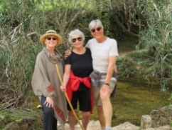 Patricia, Beth, and myself. I love this particular walk and it's perfect for the non hikers in the group.