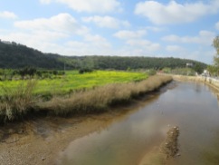 Looking up the Arade River, which is a tidal river, south of Silves